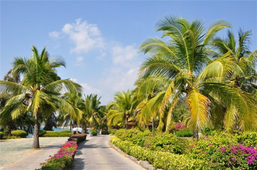 以牛成名潮汕牛肉火锅