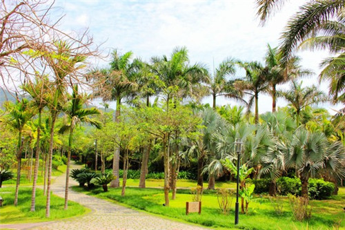 鱼之鮨日式料理