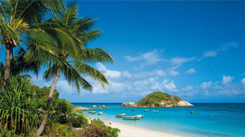 优玛汽车太阳膜