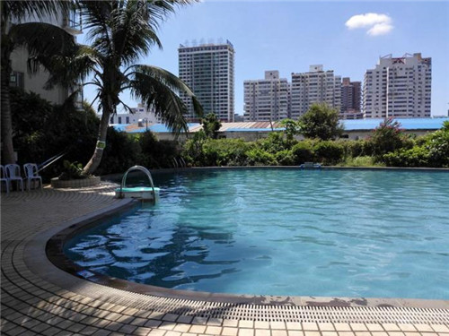 2025竹炭包加盟店什么项目风险低，竹炭包是干啥的