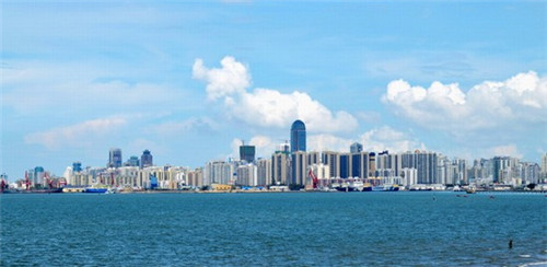 孜然炒鸡腿根的做法（孜然炒鸡腿根的做法大全）